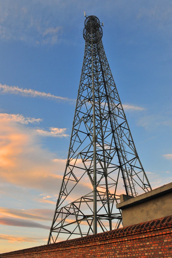 Power & Communication Towers